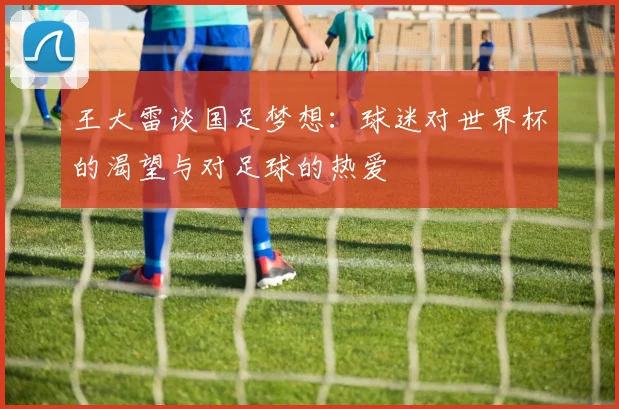 王大雷谈国足梦想：球迷对世界杯的渴望与对足球的热爱